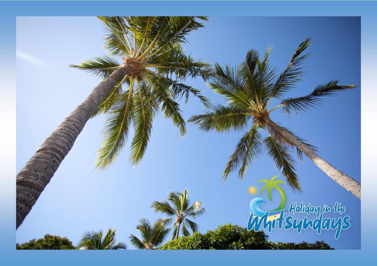 Ocean View 16A Studio Pool & Spa Wi-Fi Airlie Beach Exteriér fotografie